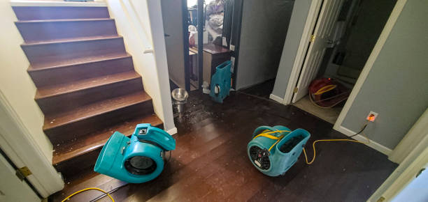 Best Water damage restoration near me  in Homer, GA