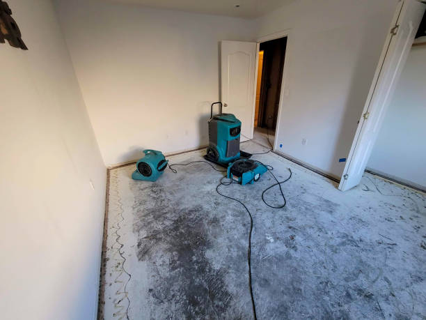 Best 24/7 water damage repair  in Homer, GA