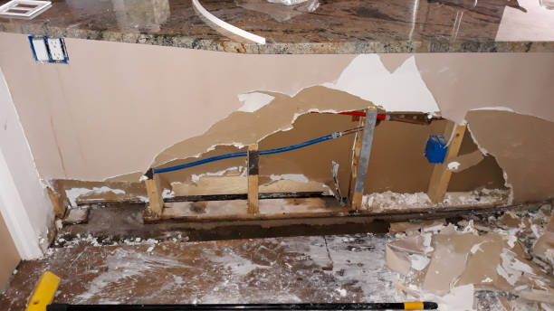 Best Water damage restoration insurance claims  in Homer, GA