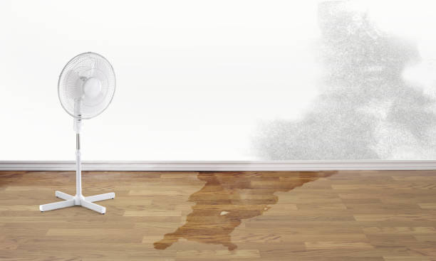 Best Water damage restoration near me  in Homer, GA