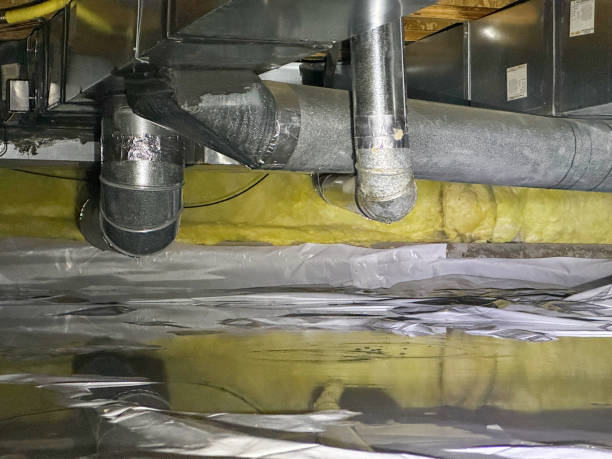 Best Mold removal after water damage  in Homer, GA