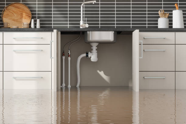 Best Sewage cleanup and water damage restoration  in Homer, GA