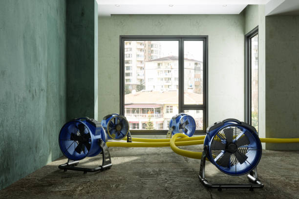 Best Residential water damage restoration  in Homer, GA