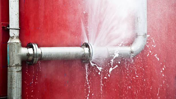 Best Flood restoration services  in Homer, GA